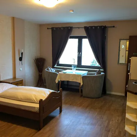 Otel Zum Schnackel In Mainz 3*